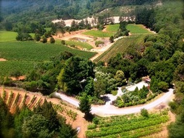 Aerial view of our Bradford Mountain Estate Vineyard on the western edge of Dry Creek Valley