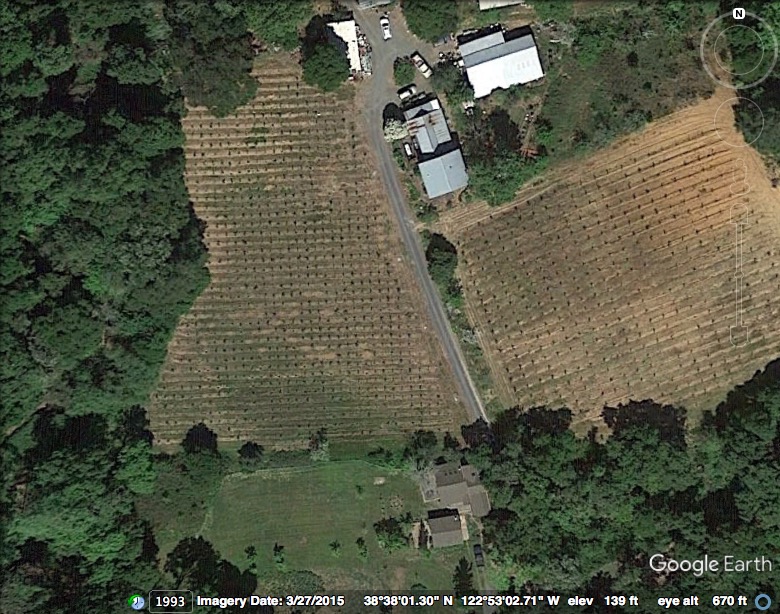 Aerial view of West Vineyard in Dry Creek Valley