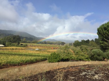 View of Funsten Vineyard in Dry Creek Valley