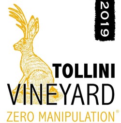 Zero Manipulation 2019, Red Wine, Tollini Vineyard