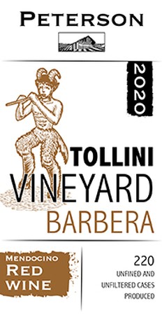 Barbera 2020, Tollini Vineyard
