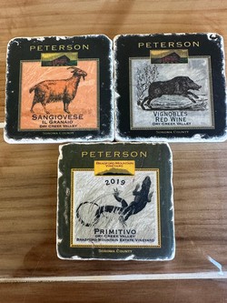 Peterson Coasters - Set of 3