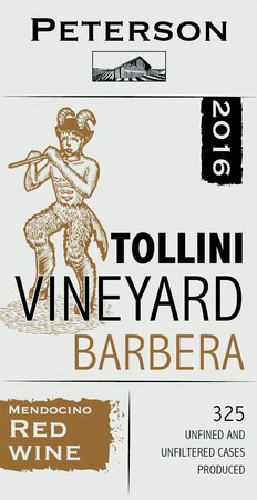 Barbera 2016, Tollini Vineyard