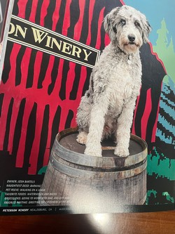 Wine Dogs 2023 Book