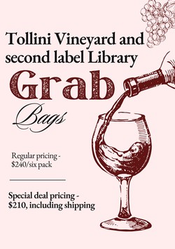 Six bottle Second Label Wines Library Grab Bag - Retail Special Pricing