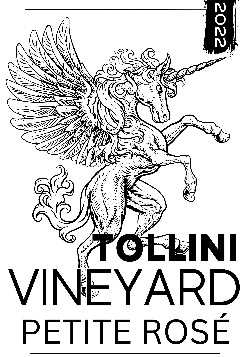 Rosé 2022, Tollini Vineyard, 3L Bag-in-Box