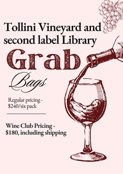 Six bottle Second Label Wines Library Grab Bag - Wine Club Price